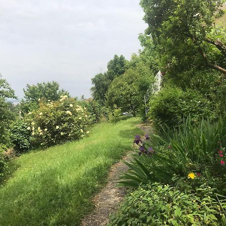 Appartement Avec Vue Panoramique Sur L'Estuaire De La Gironde Plassac  Exterior foto