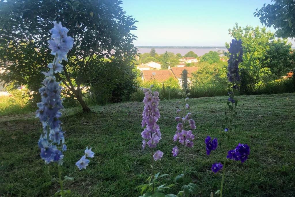 Appartement Avec Vue Panoramique Sur L'Estuaire De La Gironde Plassac  Exterior foto