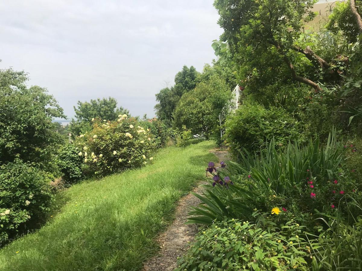 Appartement Avec Vue Panoramique Sur L'Estuaire De La Gironde Plassac  Exterior foto