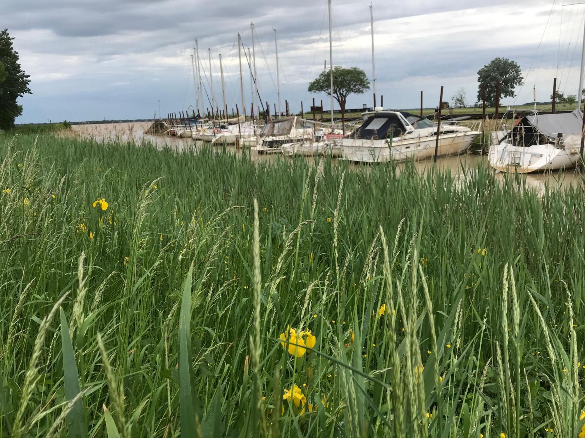 Appartement Avec Vue Panoramique Sur L'Estuaire De La Gironde Plassac  Exterior foto